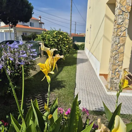 Ferienhaus Toca Dos Coelhos